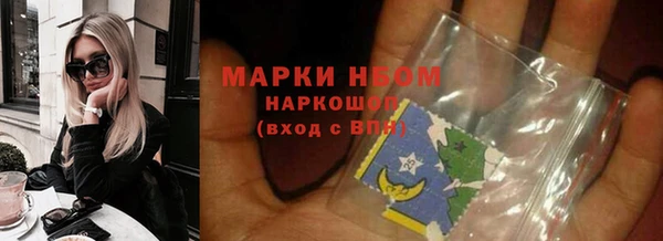 мяу мяу мука Иннополис