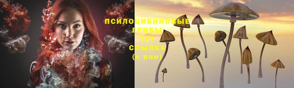 герыч Инсар