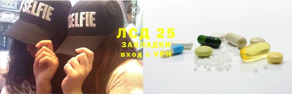 мяу мяу мука Иннополис
