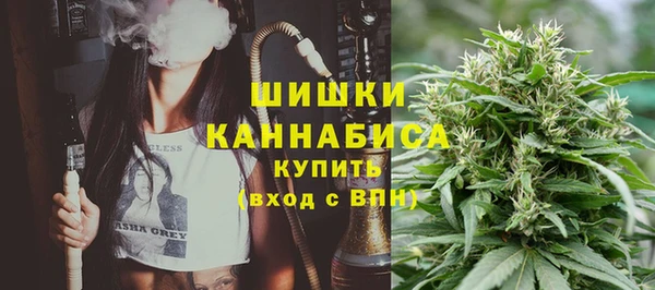 мяу мяу мука Иннополис