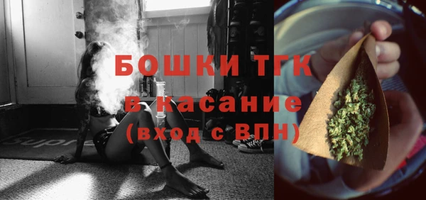 мяу мяу мука Иннополис