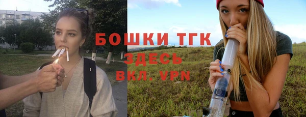 мяу мяу мука Иннополис