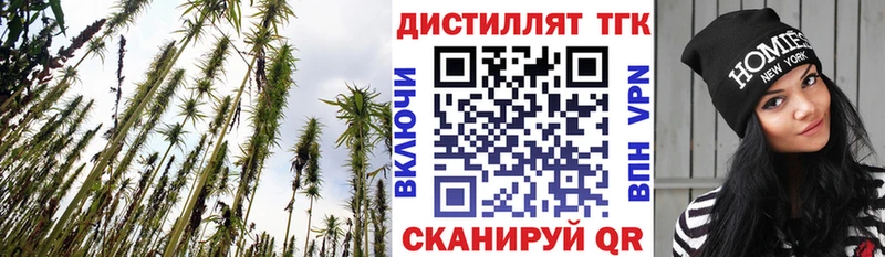 ТГК концентрат  Купить  Дальнегорск 